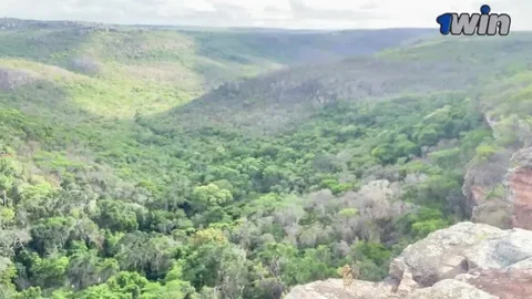 My Loves to Travel with Me, Sex in Public